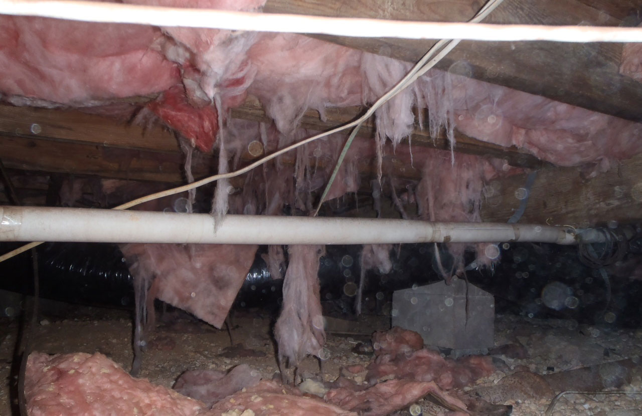 falling insulation