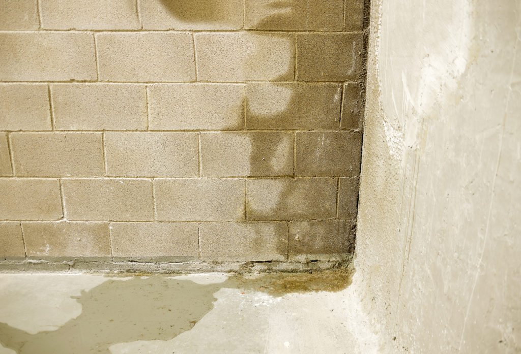 water stains on crawl space wall