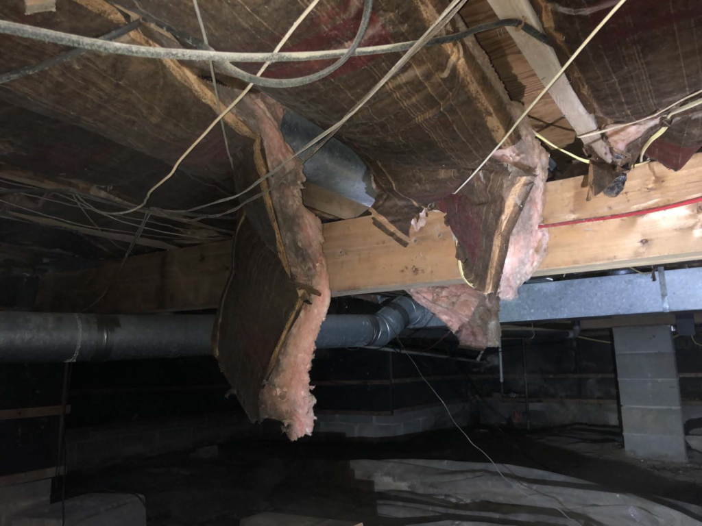 before crawl space picture in toms river