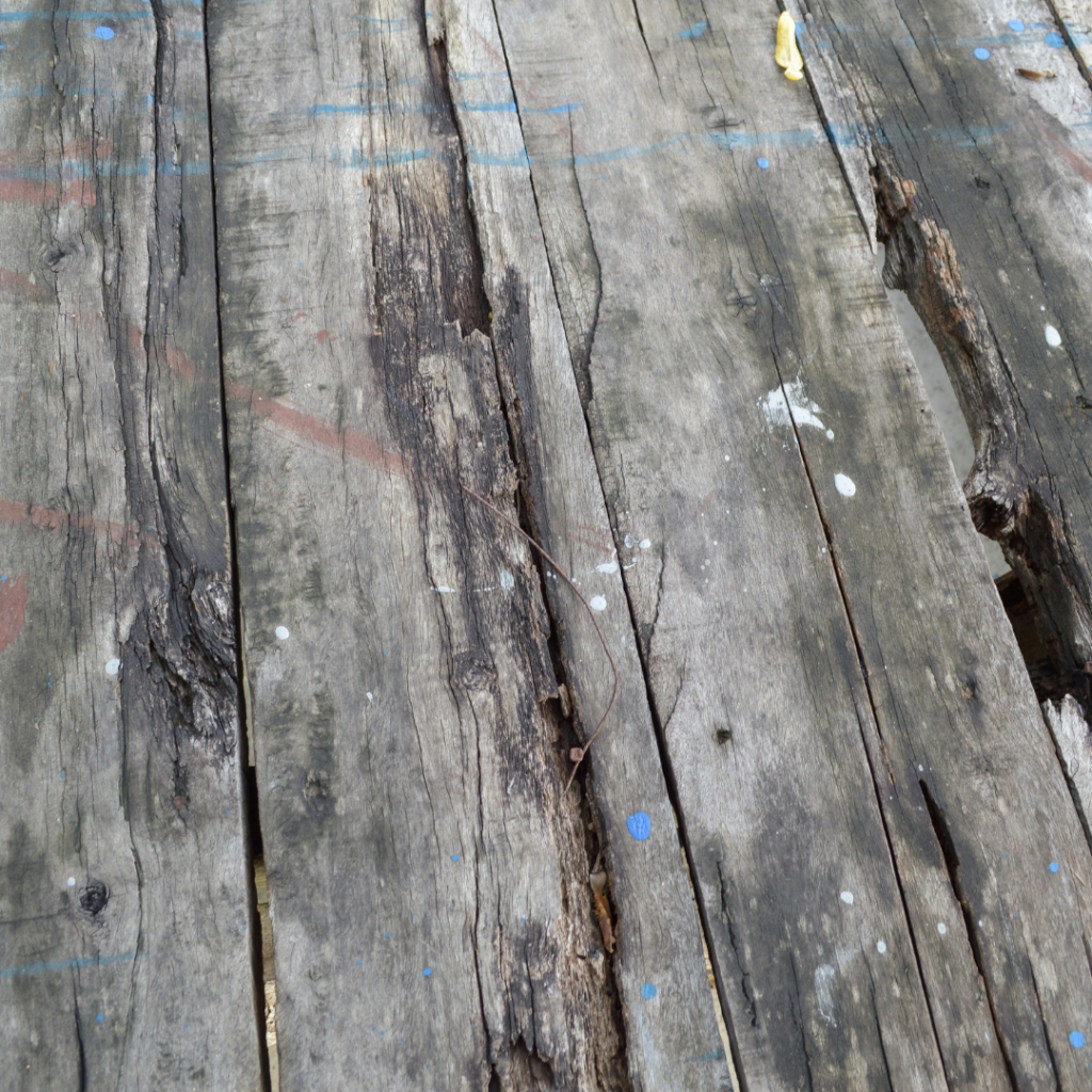 damaged wood floors as a result of poor yard drainage