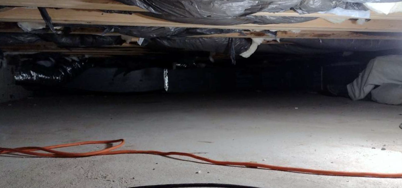 before & after before crawl space picture