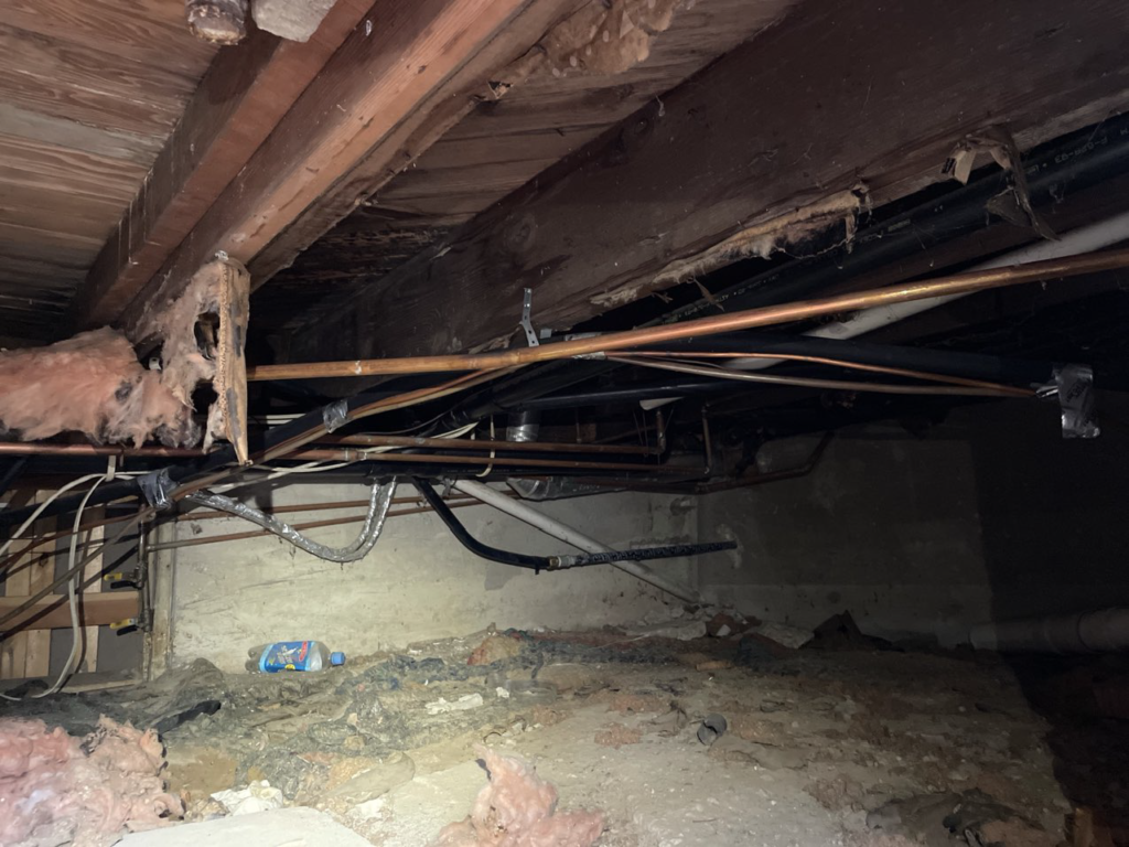 crawl space transformation before picture neptune city