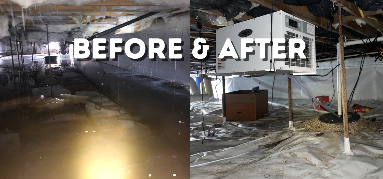 forked river crawl space before & after photos
