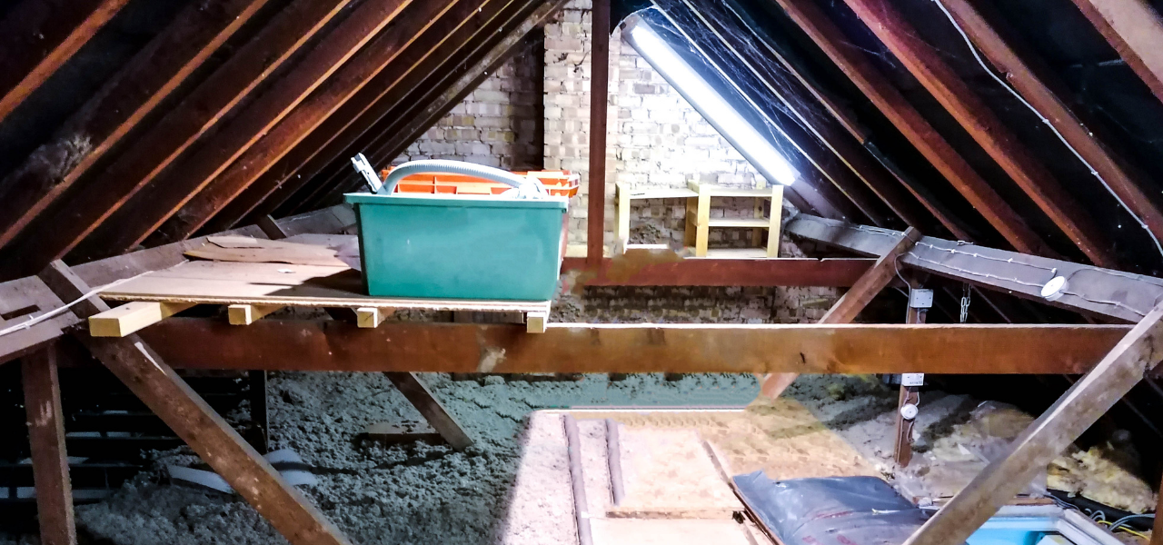 attic in need of a professional cleaning