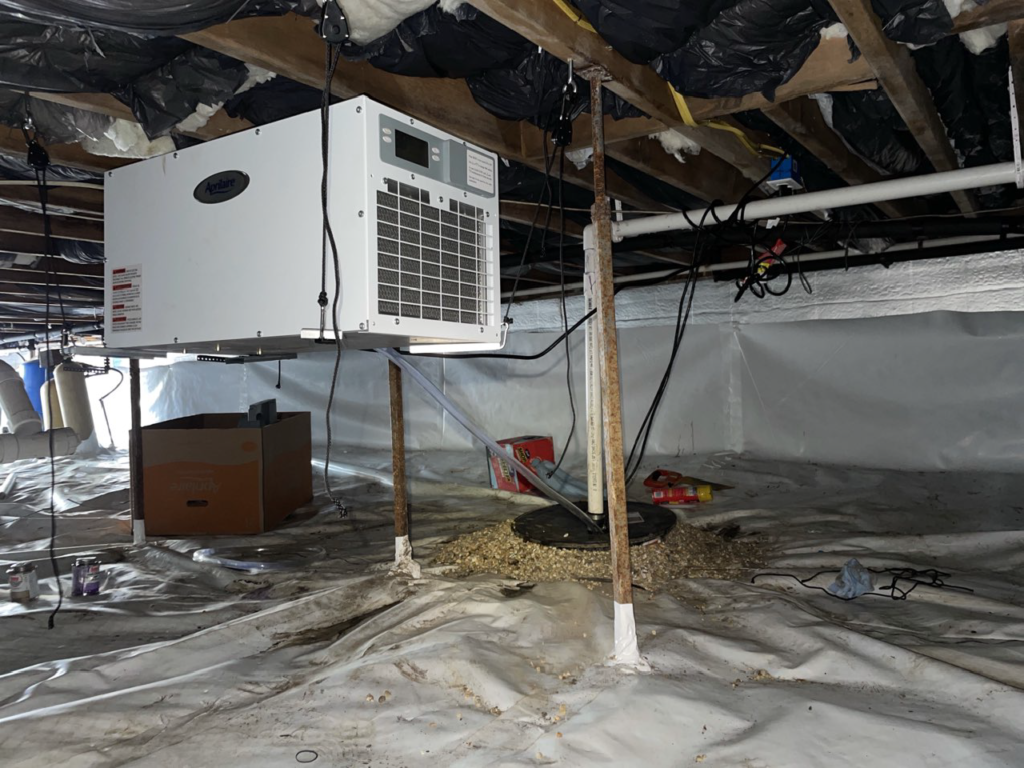 crawl space before & after after photo