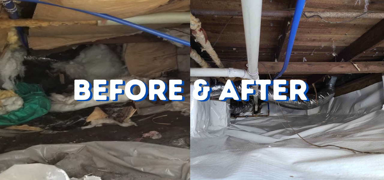 before and after crawl space work in belmar new jersey