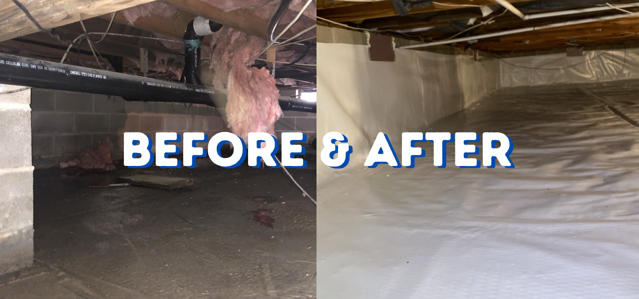 waretown nj before and after crawl space services