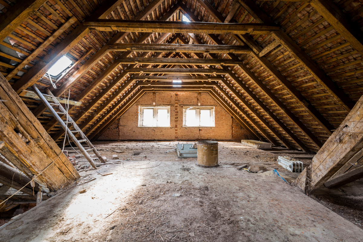 attic in need of inspection