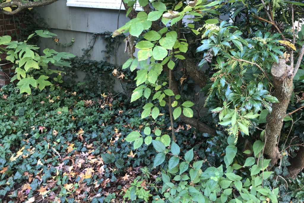 area outside home being prepared for external French drain system