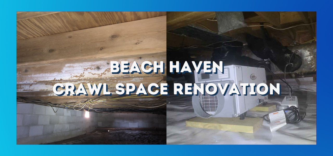 before and after crawl space renovation in beach haven new jersey