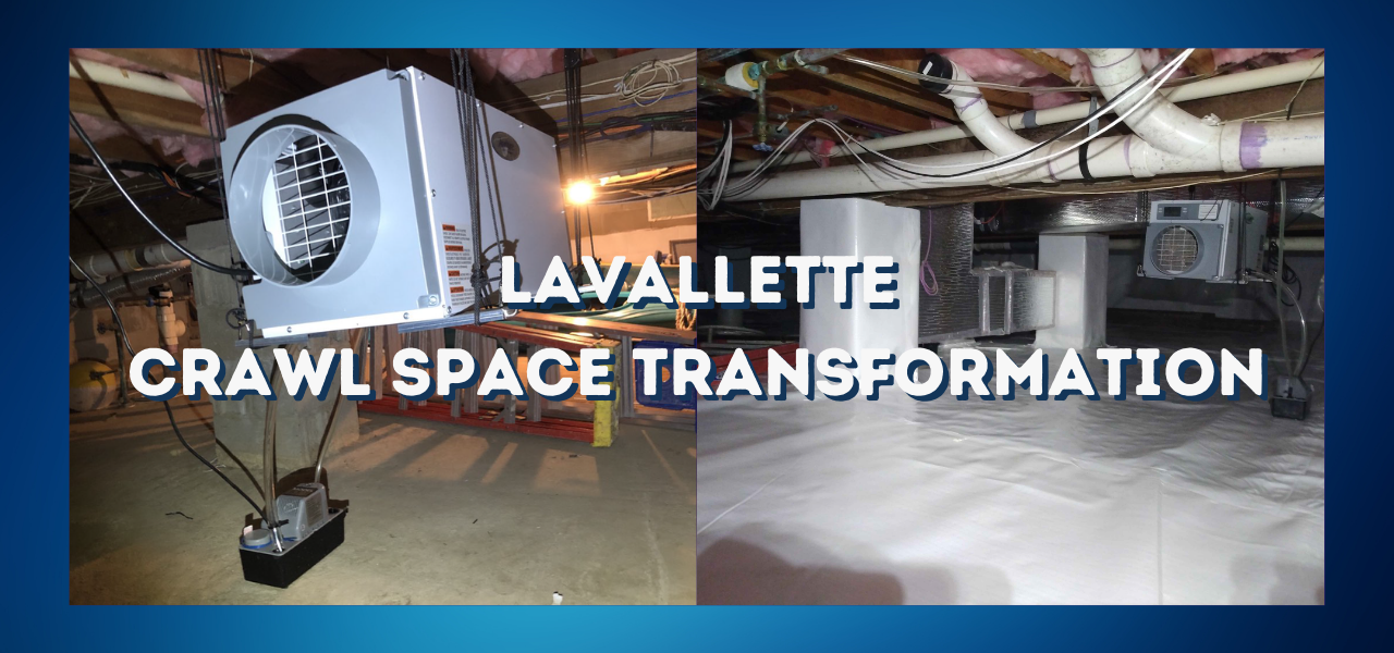 before and after crawl space transformation in lavallette