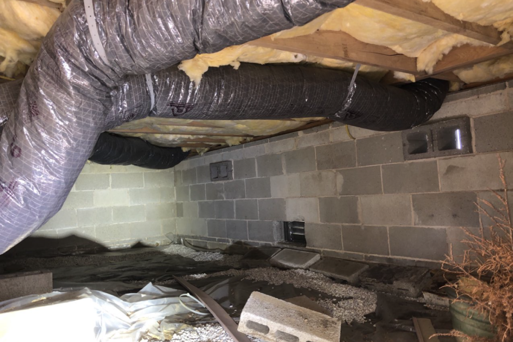 before picture with large amounts of debris