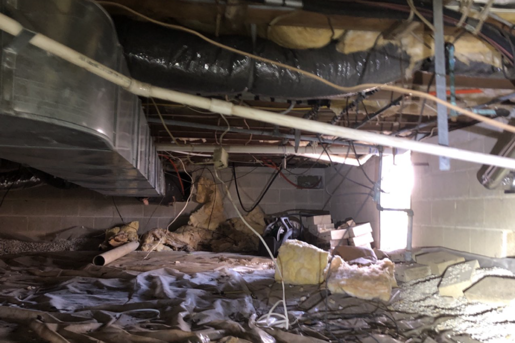 before picture with large amounts of debris