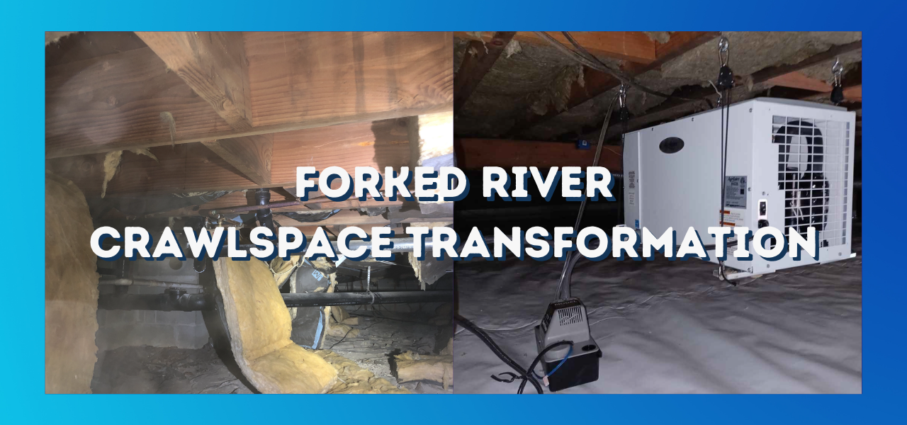 before and after crawlspace transformation in forked river new jersey