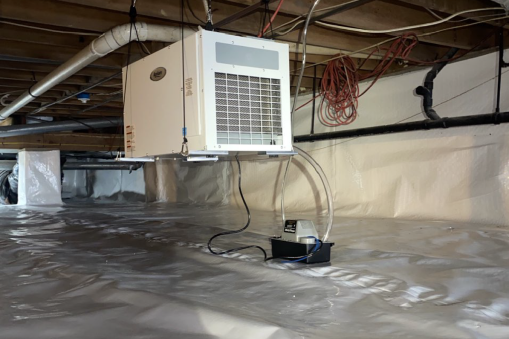 crawlspace dehumidifier and vapor barrier on floors, walls, and pillars