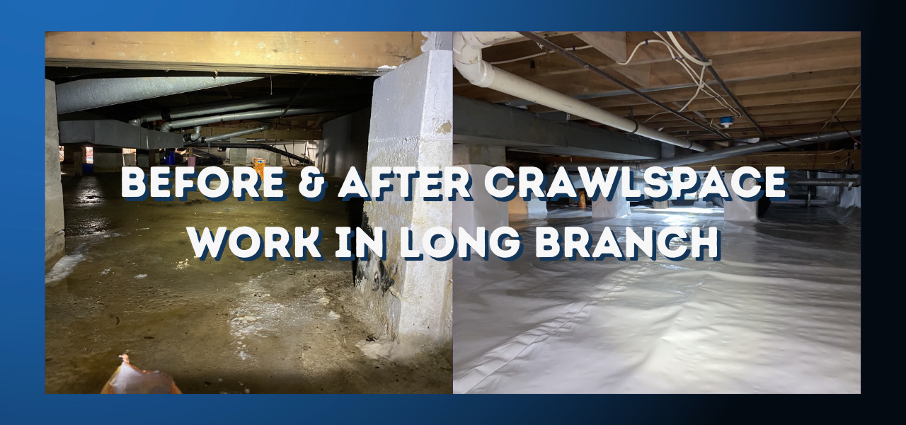 before and after crawlspace work in long branch new jersey