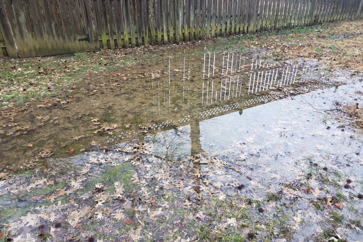 yard suffering from flooding and poor drainage