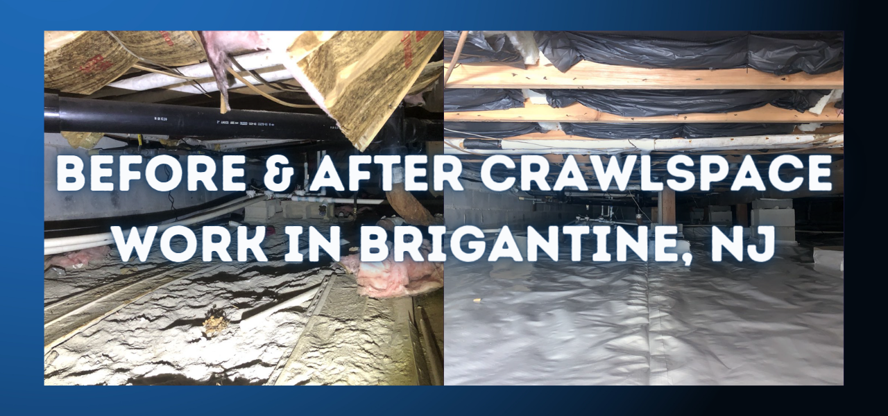 before and after crawlspace transformation in cape may new jersey