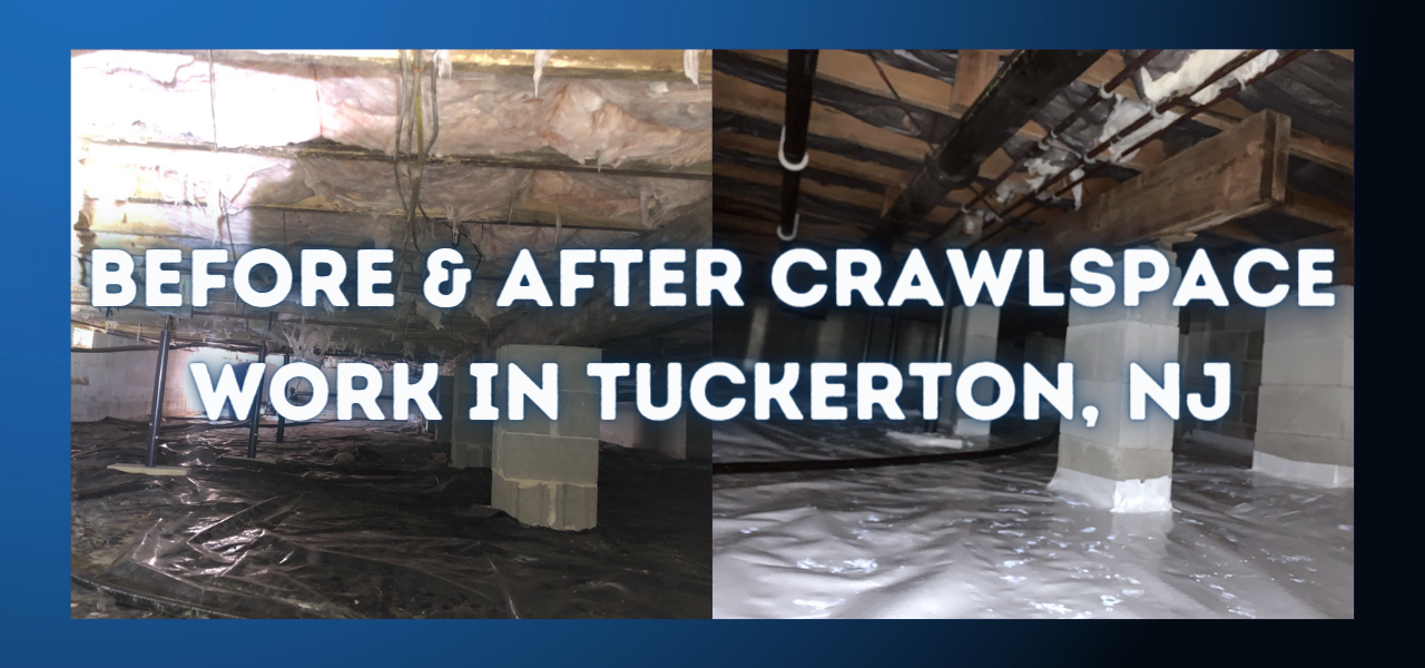 before and after crawlspace transformation in tuckerton new jersey