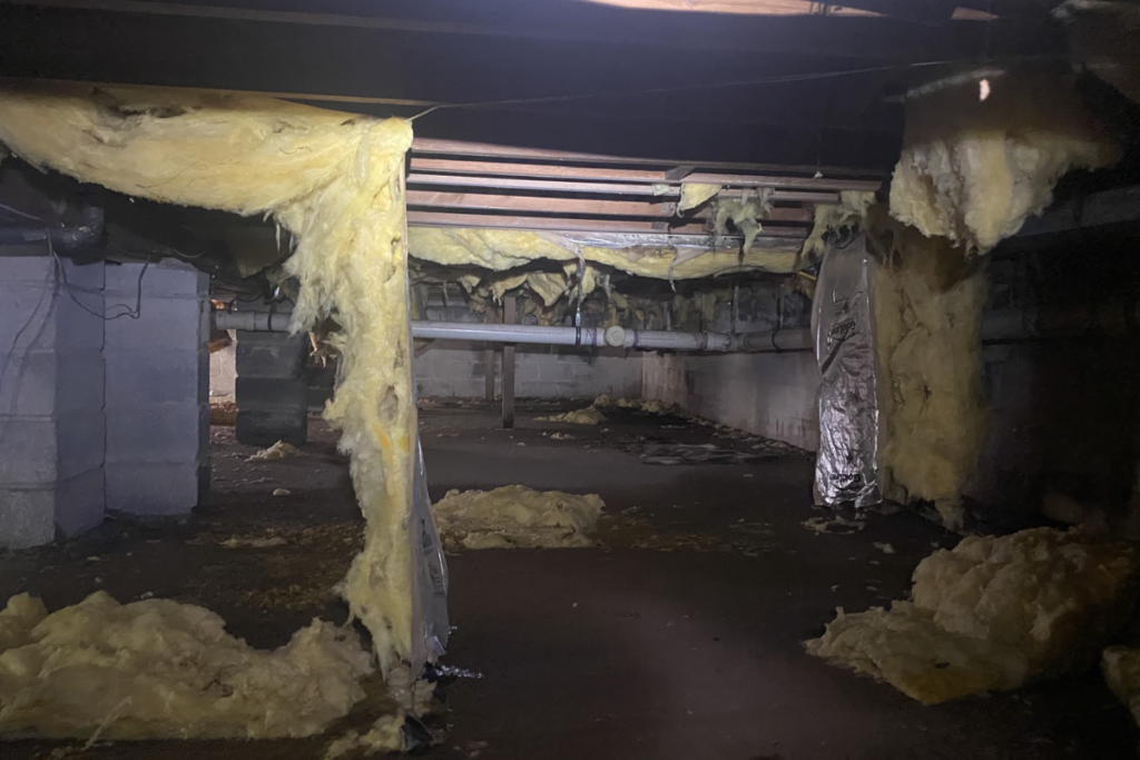 before crawlspace services in princeton new jersey