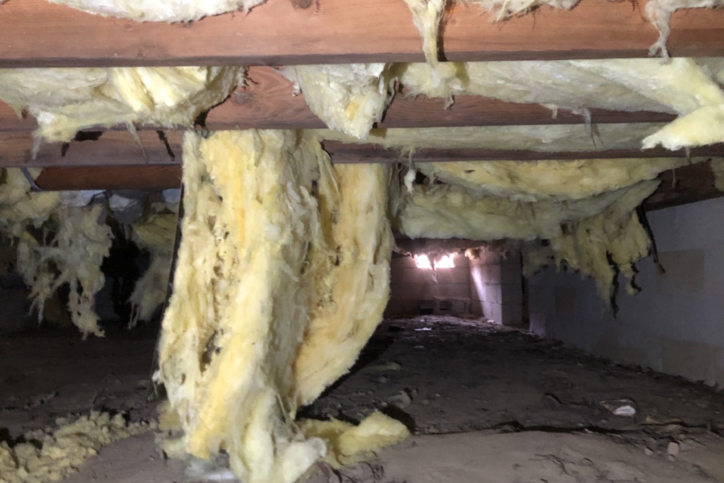 before crawlspace transformation in cape may new jersey