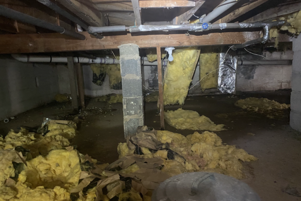 before crawlspace services in princeton new jersey