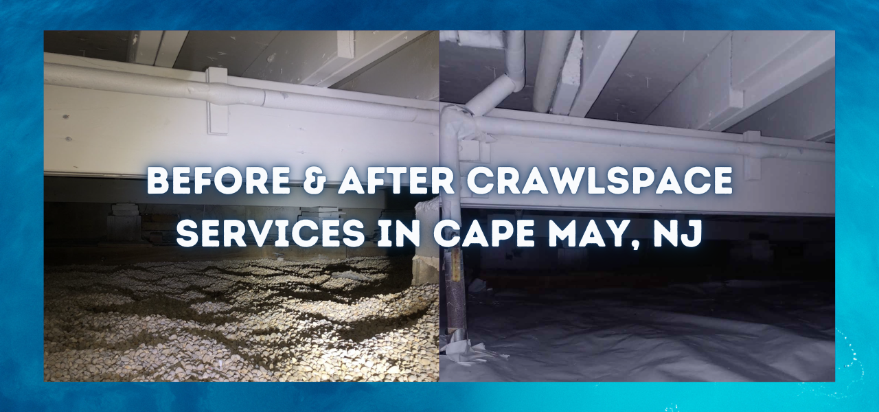 before and after crawlspace services in cape may new jersey