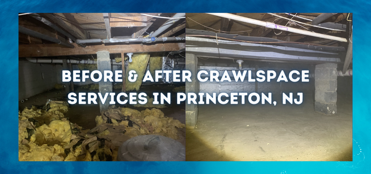 before and after crawlspace services in princeton new jersey