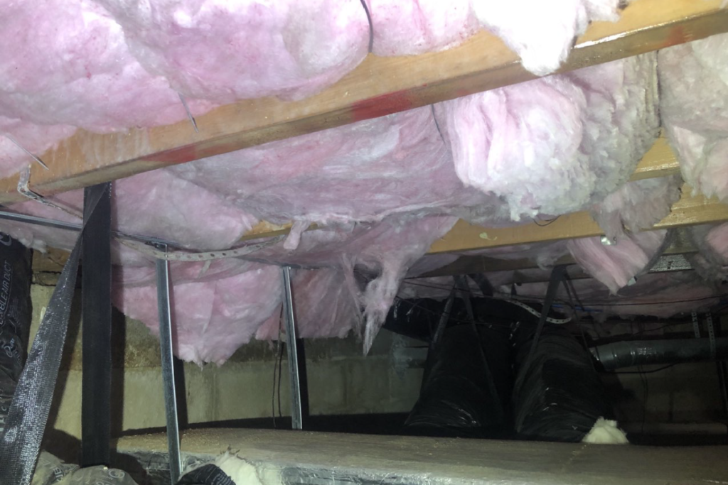 before crawlspace services