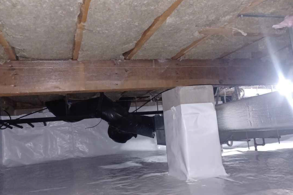 after crawlspace services