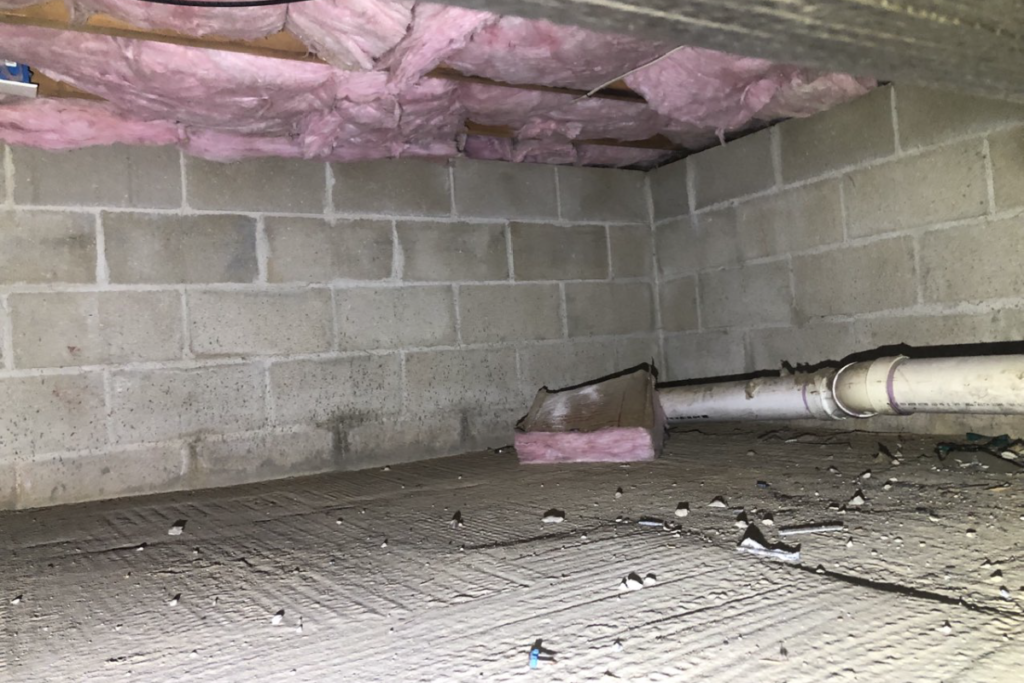 before crawlspace services