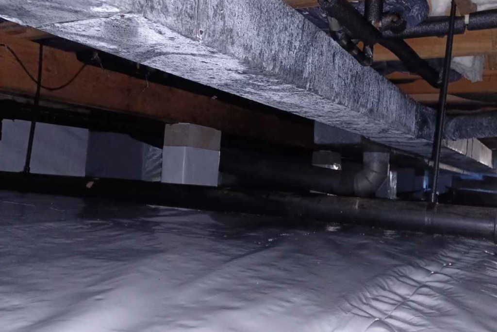after crawlspace services in point pleasant, new jersey