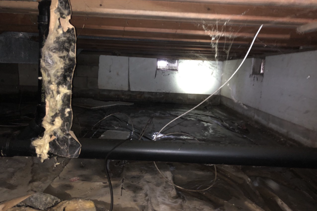 before ground cleanout in point pleasant nj