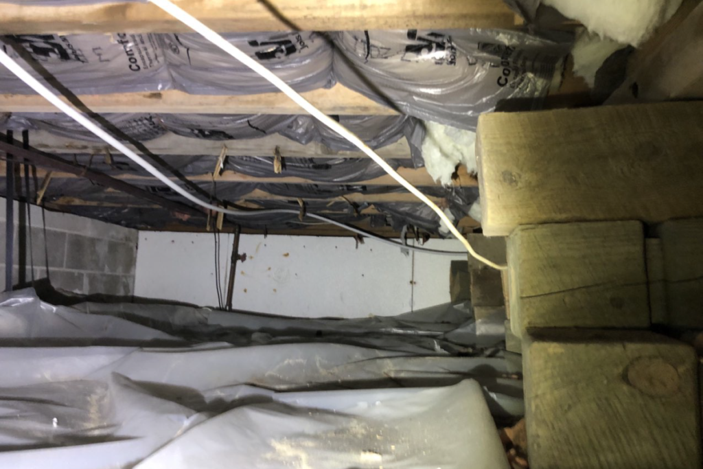 before crawlspace services in brigantine nj