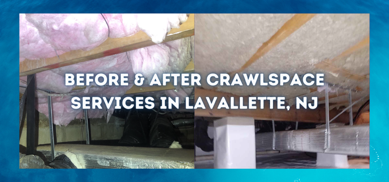 before and after crawlspace services in lavallette, new jersey