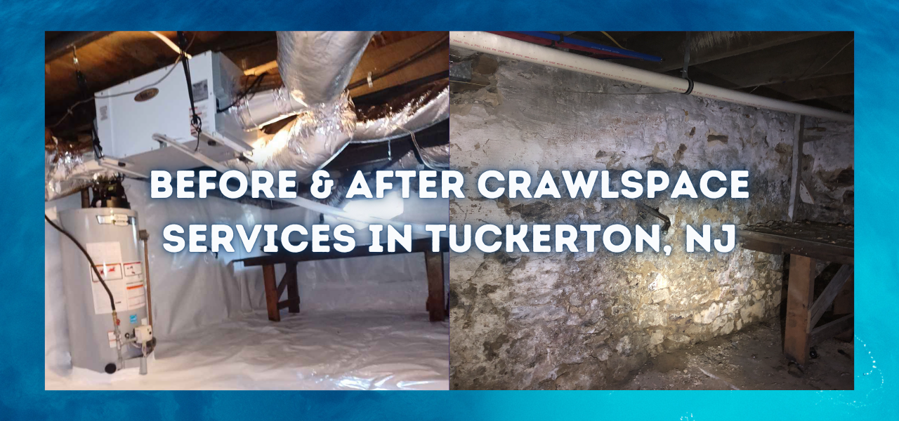 before and after crawlspace transformation in tuckerton, new jersey