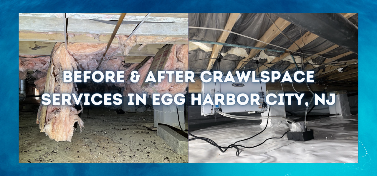 before and after crawlspace services in egg harbor city, new jersey