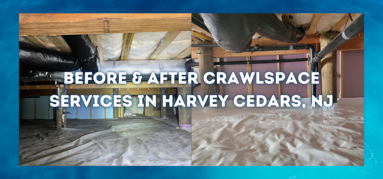 before and after crawlspace services in harvey cedars, new jersey