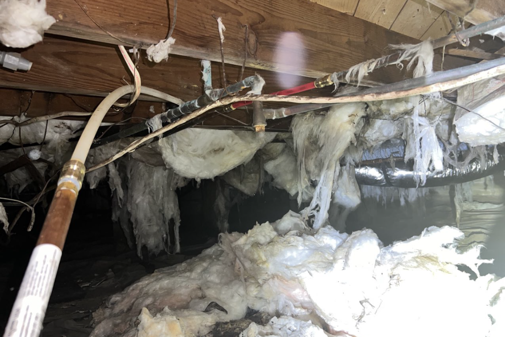 before egg harbor city crawlspace services