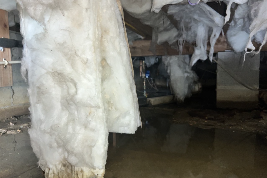 before long beach crawlspace services