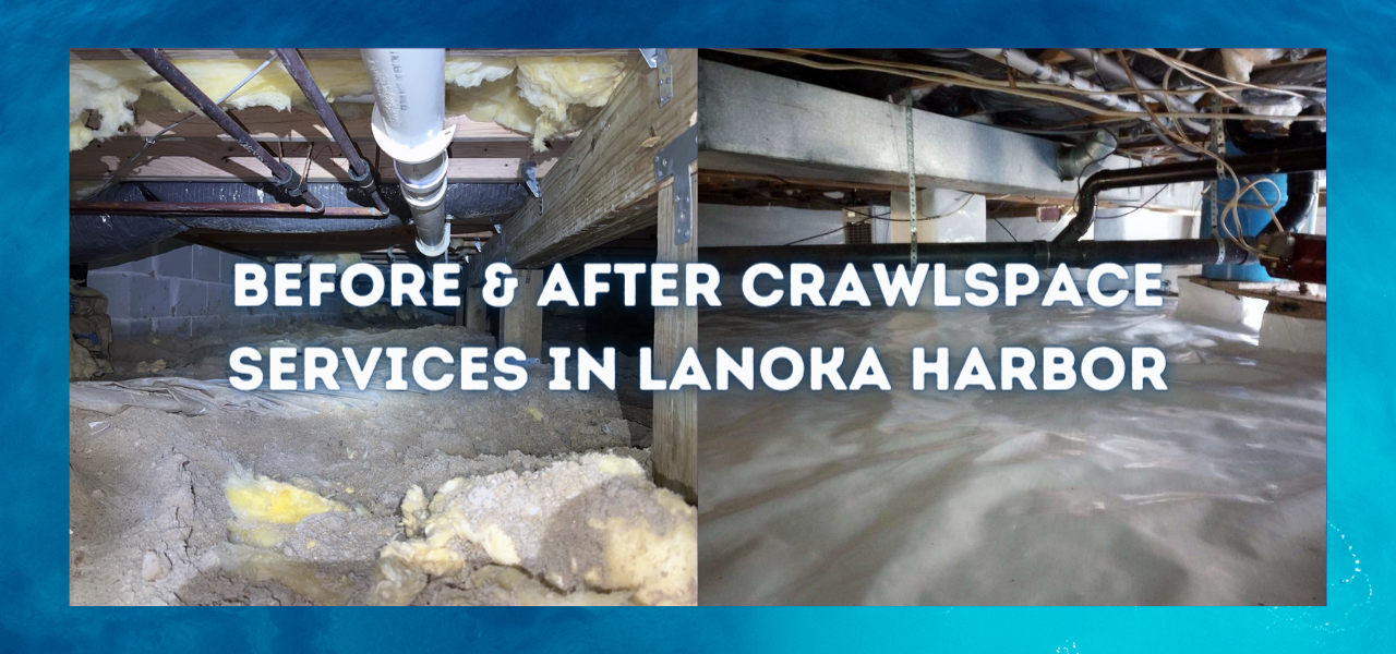 before and after crawlspace services in lanoka harbor