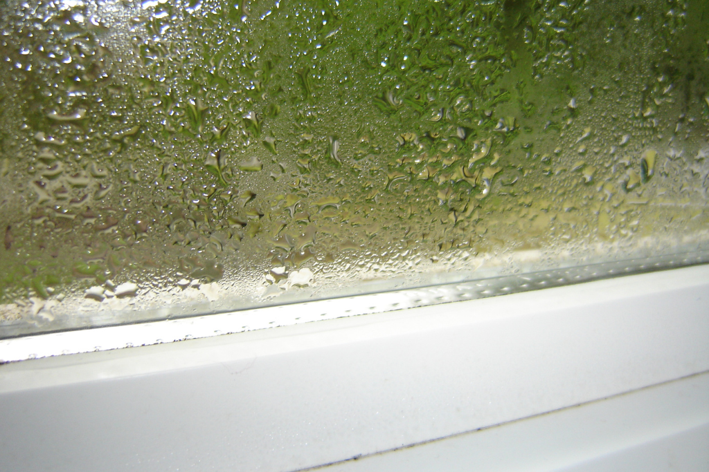 condensation on windows