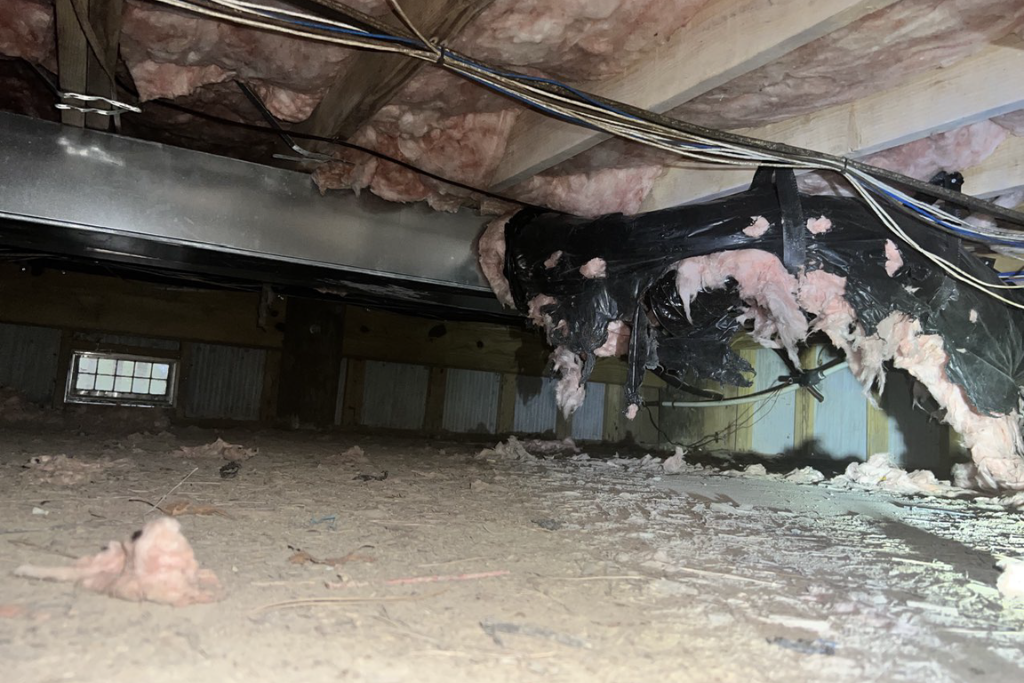 before crawlspace services in beach haven, new jersey