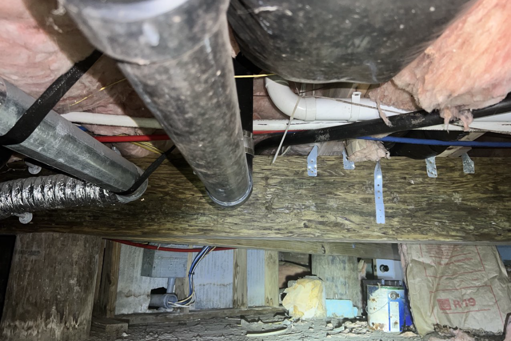 before crawlspace services in beach haven, new jersey