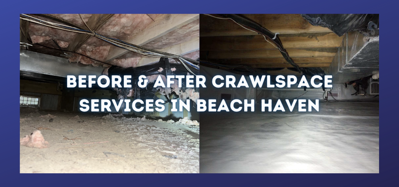 before and after crawlspace services in beach haven, new jersey
