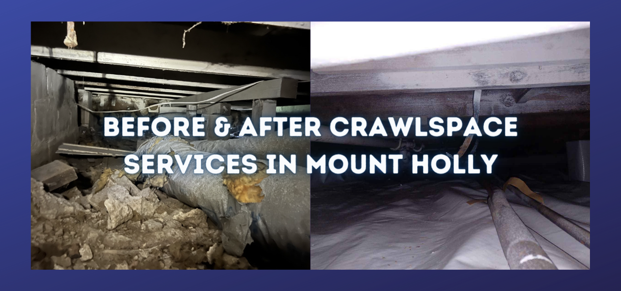 before and after crawlspace services in mount holly new jersey