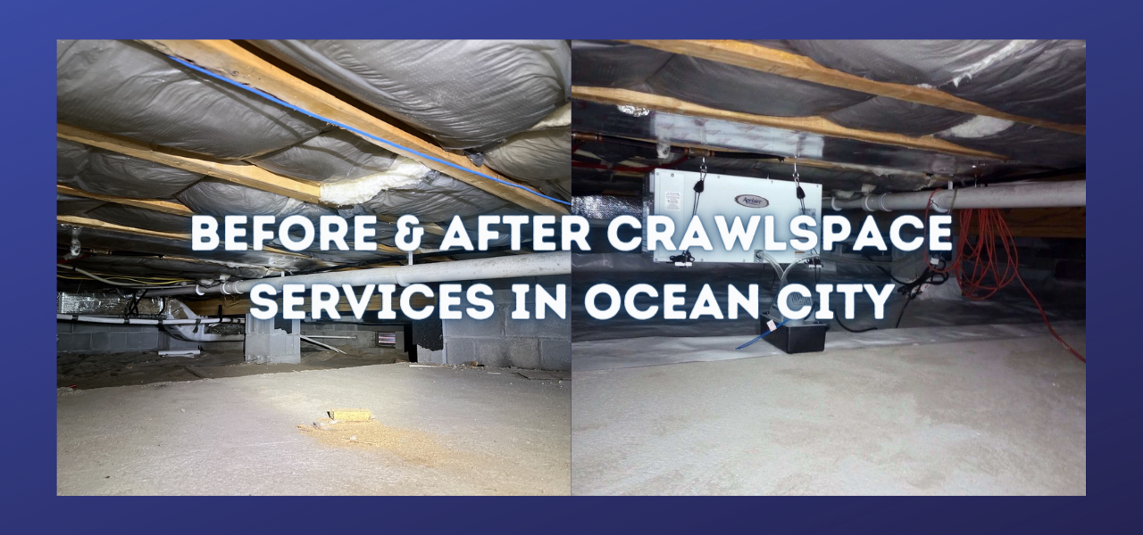 before and after crawlspace services in ocean city, new jersey