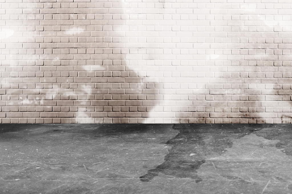 damp basement wall indicating home is lacking energy efficiency and proper moisture management