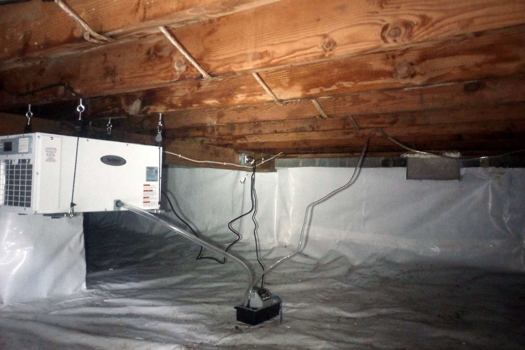 after shrewsbury, nj crawlspace services