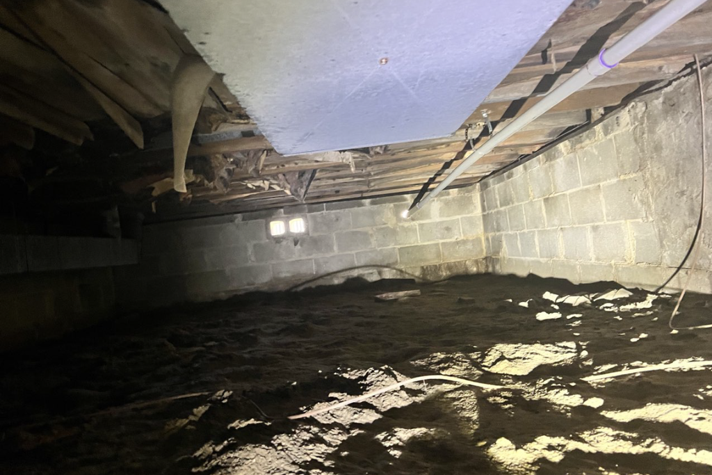 before woodbine, nj crawlspace services